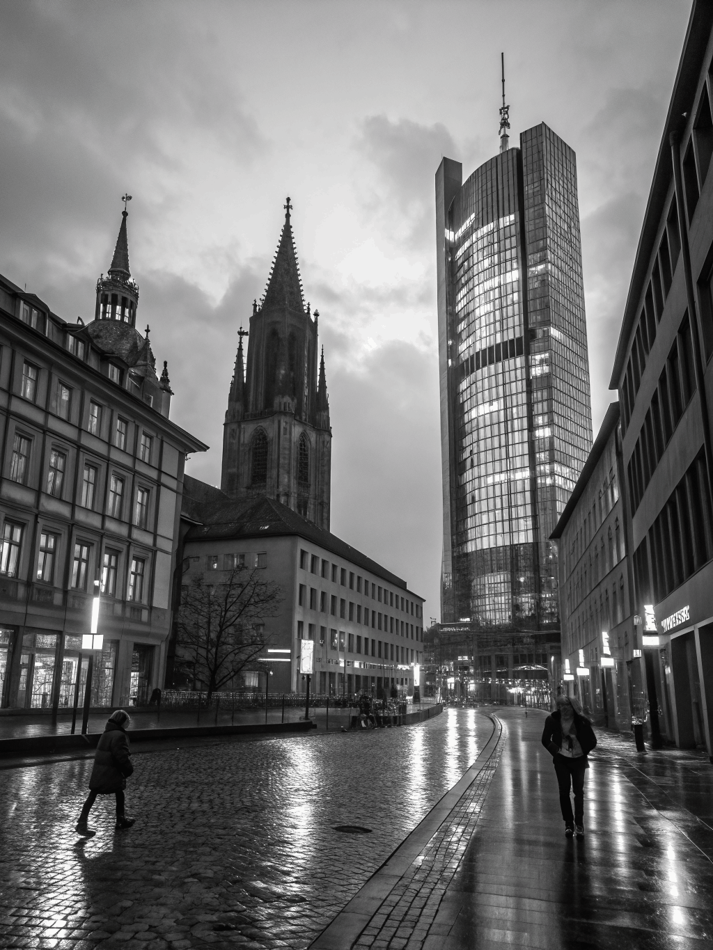 Moderne Wohnarchitektur in Frankfurt mit Naturstein und raumhohem Glas